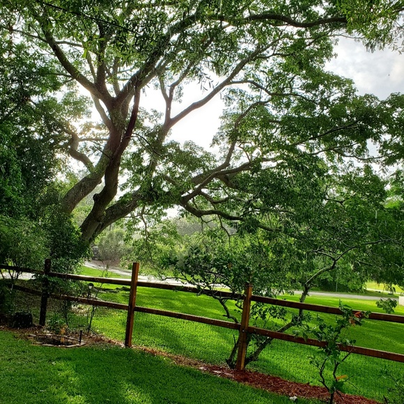 Meet your Posher, Agnieszka - Picture 3 of 8